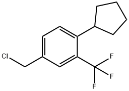 4-ChloroMethyl-1-cyclopentyl-2-trifluoroMethyl-benzene price.