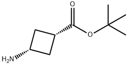 cis-3-AMinocyclobutanecarboxylic acid tert-butyl ester 化学構造式