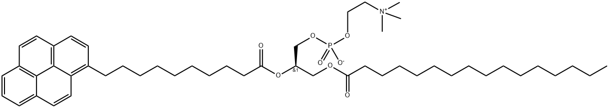 1-PALMITOYL-2-PYRENEDECANOYLPHOSPHATIDYLCHOLINE