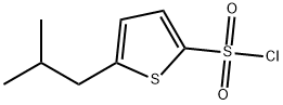 5-Isobutylthiophene-2-sulfonyl chloride 化学構造式