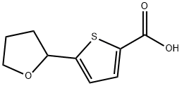 5-(TETRAHYDROFURAN-2-YL)THIOPHENE-2-CARBOXYLIC ACID Structure