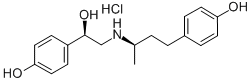 Ractopamine Structure