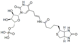 5-(N-biotinyl-3-aminoallyl)uridine 5'-monophosphate,97950-37-3,结构式