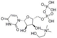 Uridine Diphosphate Choline