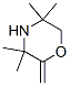 99777-12-5 Morpholine,  3,3,5,5-tetramethyl-2-methylene-