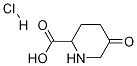 2-Piperidinecarboxylic acid, 5-oxo-, hydrochloride Struktur