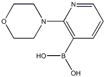  2-吗啉吡啶-3-硼酸