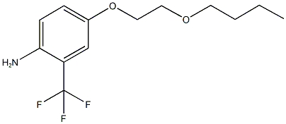 4-(2-butoxyethoxy)-2-(trifluoromethyl)aniline Struktur
