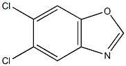 5,6-Dichloro-1,3-benzoxazole,,结构式
