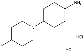 [4-(4-甲基哌啶-1-基)环己基]胺二盐酸盐 结构式