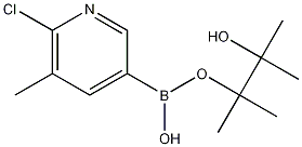 6-CHLORO-5-METHYLPYRIDINE-3-BORONIC ACID, PINACOL ESTER Structure