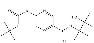 6-(tert-Butyloxycarbonyl-methylamino)pyridine-3-boronic acid pinacol ester 化学構造式