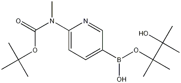 6-(tert-Butyloxycarbonyl-methylamino)pyridine-3-boronic acid pinacol ester 结构式