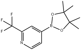2-(トリフルオロメチル)ピリジン-4-ボロン酸ピナコールエステル 化学構造式