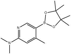 6-Dimethylamino-4-methylpyridine-3-boronic acid pinacol ester Struktur