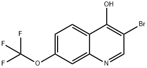 3-Bromo-4-hydroxy-7-trifluoromethoxyquinoline Struktur