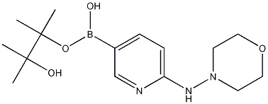 6-(Morpholin-4-ylamino)pyridine-3-boronic acid pinacol ester Struktur