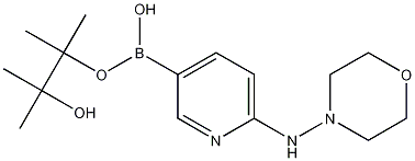 6-(Morpholin-4-ylamino)pyridine-3-boronic acid pinacol ester,1073354-38-7,结构式