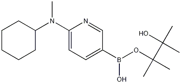 6-[CYCLOHEXYL(METHYL)AMINO]PYRIDINE-3-BORONIC ACID PINACOL ESTER Struktur