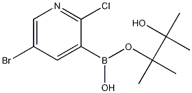 5-BROMO-2-CHLOROPYRIDINE-3-BORONIC ACID, PINACOL ESTER Structure