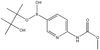 6-Methoxycarbonylaminopyridine-3-boronic acid pinacol ester Struktur