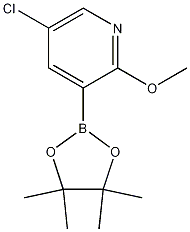 1083168-96-0 5-氯-2-甲氧基-3-吡啶硼酸片呐酯