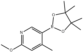 2-Methoxy-4-methyl-5-(4,4,5,5-tetramethyl-[1,3,2]dioxaborolan-2-yl)-pyridine 化学構造式