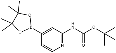 2-(叔丁氧基羰基氨基)吡啶-4-硼酸频那醇酯, 1095708-32-9, 结构式