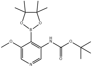 TERT-BUTYL 5-METHOXY-4-(4,4,5,5-TETRAMETHYL-1,3,2-DIOXABOROLAN-2-YL)PYRIDIN-3-YLCARBAMATE|TERT-BUTYL 5-METHOXY-4-(4,4,5,5-TETRAMETHYL-1,3,2-DIOXABOROLAN-2-YL)PYRIDIN-3-YLCARBAMATE