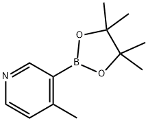 4-methyl-3-(4,4,5,5-tetramethyl-1,3,2-dioxaborolan-2-yl)pyridine Struktur