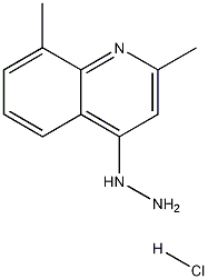 2,8-Dimethyl-4-hydrazinoquinoline hydrochloride Struktur