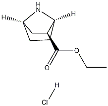 (1S,2S,4R)-ETHYL 7-AZABICYCLO[2.2.1]HEPTANE-2-CARBOXYLATE HYDROCHLORIDE Struktur
