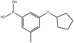 3-(Cyclopentyloxy)-5-methylphenylboronic acid|3-(CYCLOPENTYLOXY)-5-METHYLPHENYLBORONIC ACID