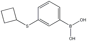 3-(环丁基硫代)苯硼酸,1256346-42-5,结构式