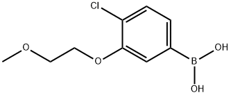 4-氯-3-(2-甲氧基乙氧基)苯硼酸 结构式