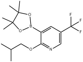 2-ISOBUTOXY-5-(TRIFLUOROMETHYL)PYRIDINE-3-BORONIC ACID, PINACOL ESTER 结构式