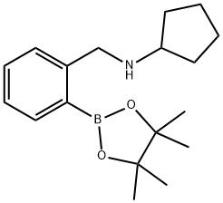 2-(环戊基氨基甲基)苯硼酸频那醇酯 结构式