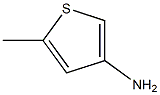 3-Amino-5-methylthiophene|5-甲基-3-氨基噻吩