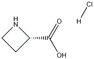 405226-56-4 (S)-环丁胺-2-羧酸