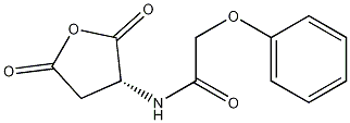(R)-N-(2,5-dioxotetrahydrofuran-3-yl)-2-phenoxyacetamide|(R)-N-(2,5-二氧代四氢呋喃-3-基)-2-苯氧基乙酰胺