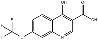 4-Hydroxy-7-trifluoromethoxyquinoline-3-carboxylic acid|4-羟基-7-(三氟甲氧基)喹啉-3-羧酸