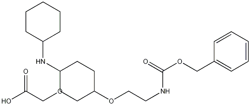 Dicyclohexylamine 3-oxo-1-phenyl-2,7,10-trioxa-4-azadodecan-12-oate Structure