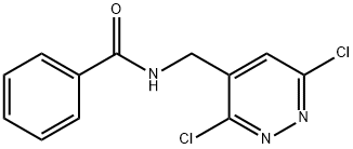 N-(3,6-Dichloro-pyridazin-4-ylmethyl)-benzamide|N-((3,6-二氯哒嗪-4-基)甲基)苯甲酰胺