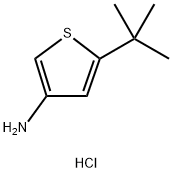 3-Amino-5-tert-butylthiophene hydrochloride Struktur