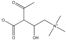 ACETYL-DL -CARNITINE Struktur