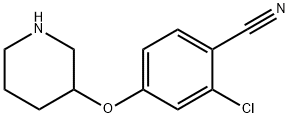 902836-92-4 2-氯-4-(-3-哌啶氧基)苯甲腈