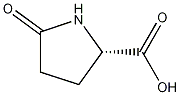 L-Pyroglutamic acid 化学構造式