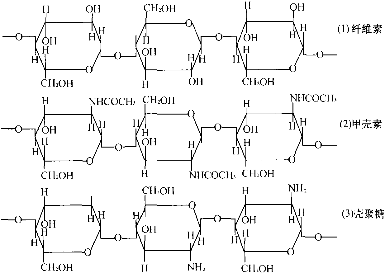 甲壳素、壳聚糖和纤维素的化学结构