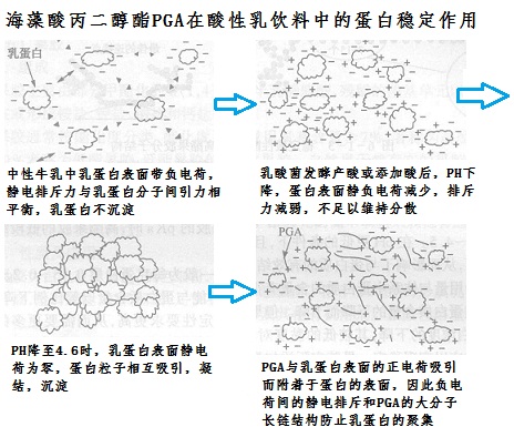 海藻酸丙二醇酯PGA在酸性乳饮料中的蛋白稳定作用