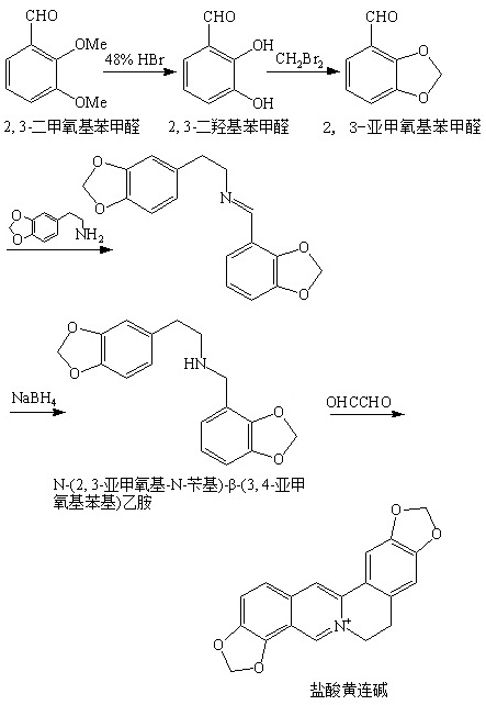 人工合成盐酸黄连碱的化学反应路线图